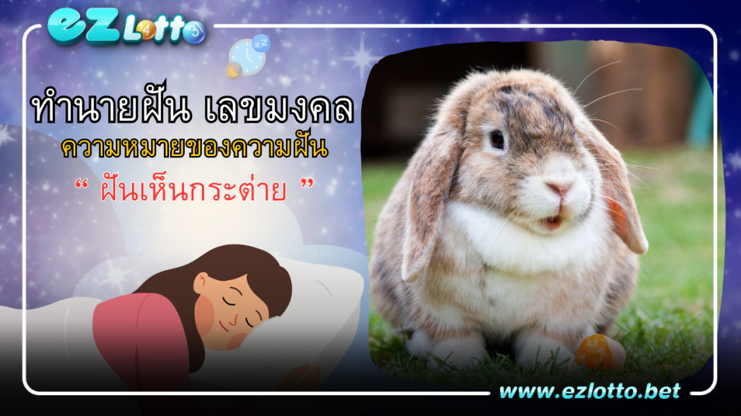 ทำนายฝันเห็นกระต่าย หมายถึงอะไร  มี “เลขเด็ด” ตัวไหนบ้าง?