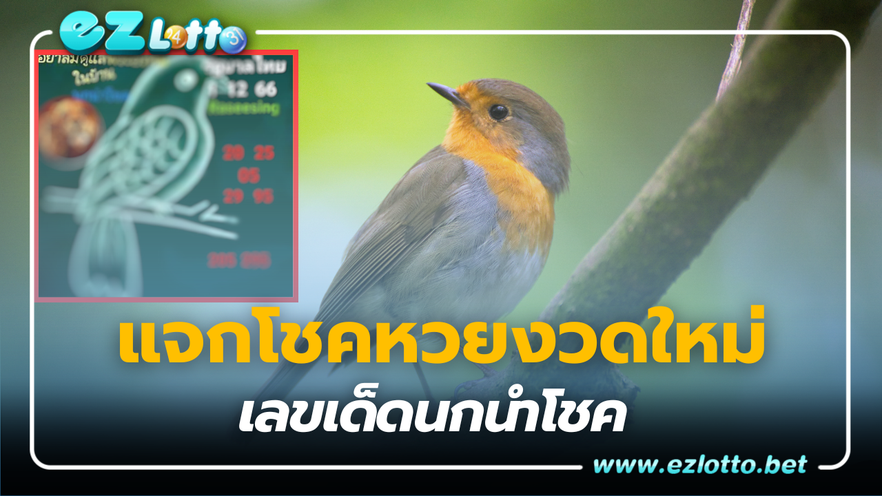 แจกโชคหวยงวดใหม่ เลขเด็ด นกนำโชค  1 12 66